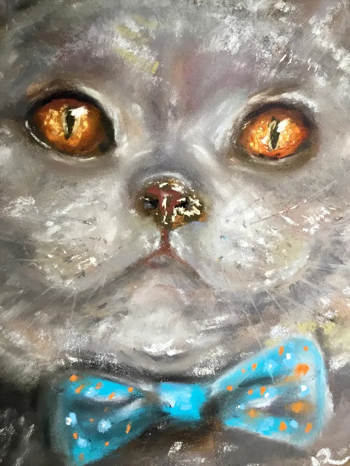 British cat with a bow tie original spft pastel painting on pastel cardboard,funny animals painting,cats painting,cat lovers gift,wall art.