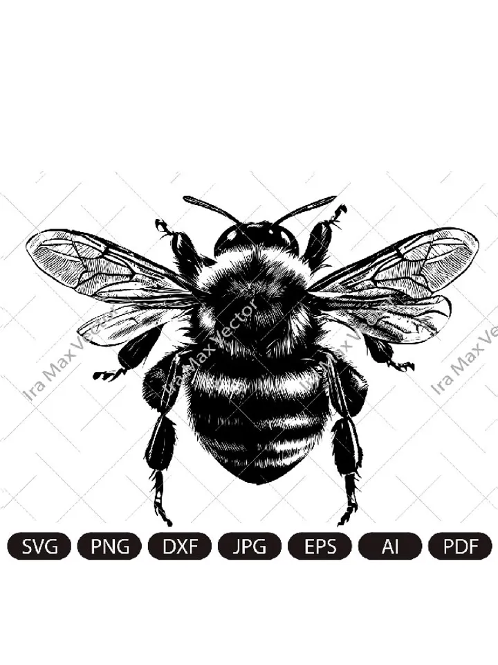 BumbleBee svg ,honey bee , bumble bee svg png jpg ,BumbleBee clip art ,BumbleBee Silhouette ,BumbleBee printable, bee sublimation