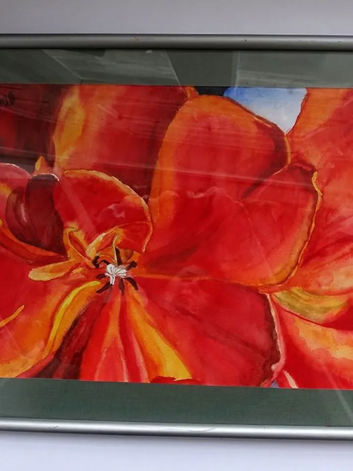 Tulip Painting Watercolor Floral Artwork Texas Original Art Tulip Floral Art