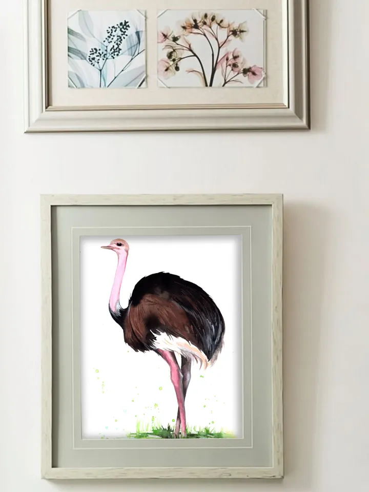 Ostrich Original watercolor, bird painting, wall decor, 8x11 in handmade art by Anne Gorywine
