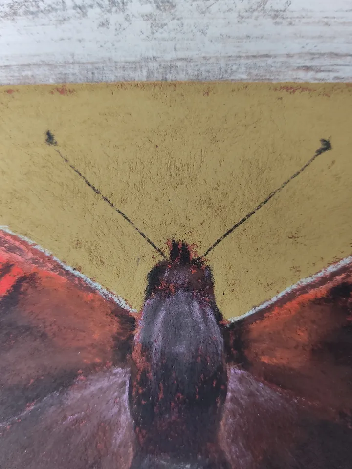 Butterfly. Original soft pastel drawing.