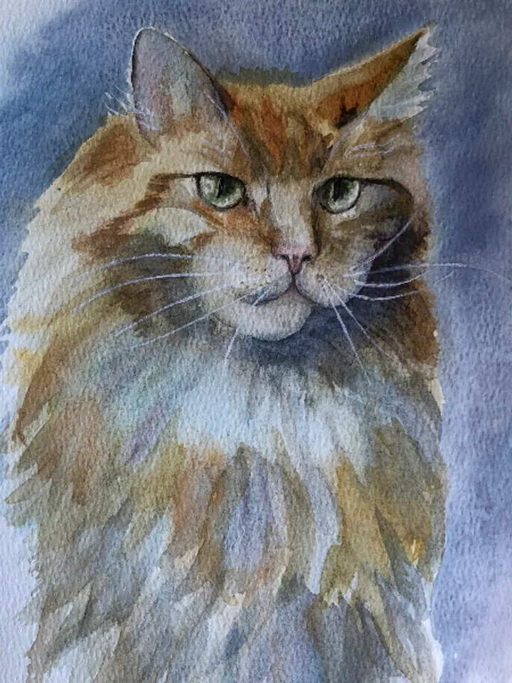 Cat portrait original watercolour painting hand painted