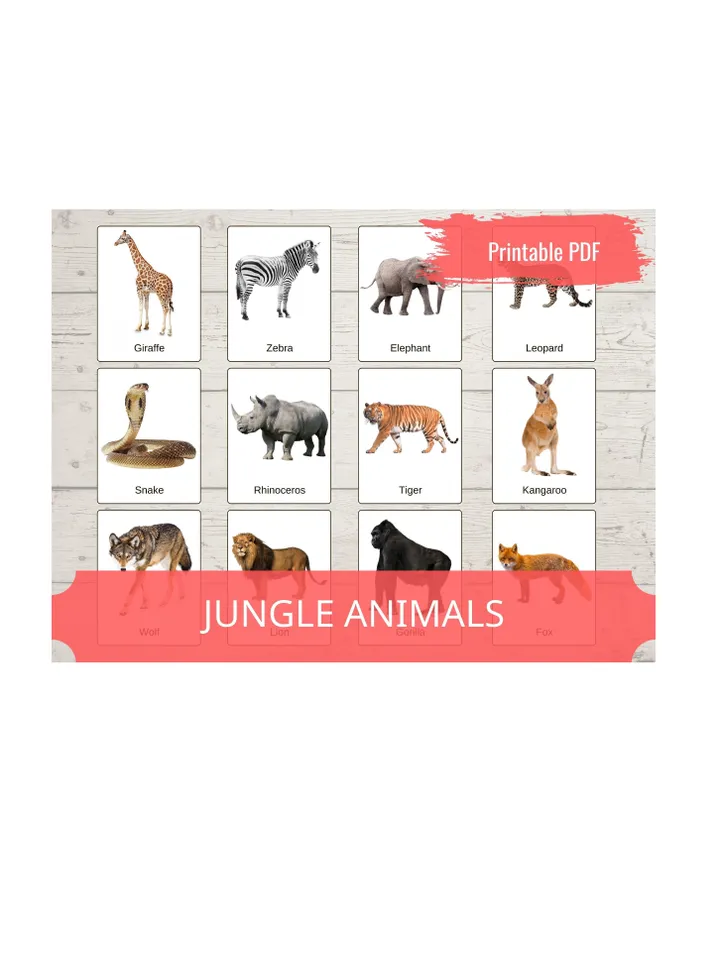 Montessori Printable Cards - JUNGLE ANIMALS, Educational Material PDF