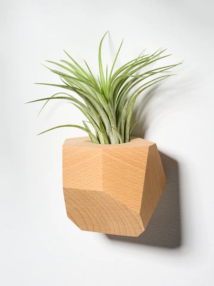 Set of 4 Beech Wood Geometric Air Plant Holder
