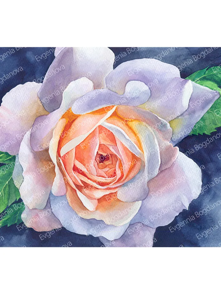 Rose on a blue background Watercolor painting for printing Digital file Large poster