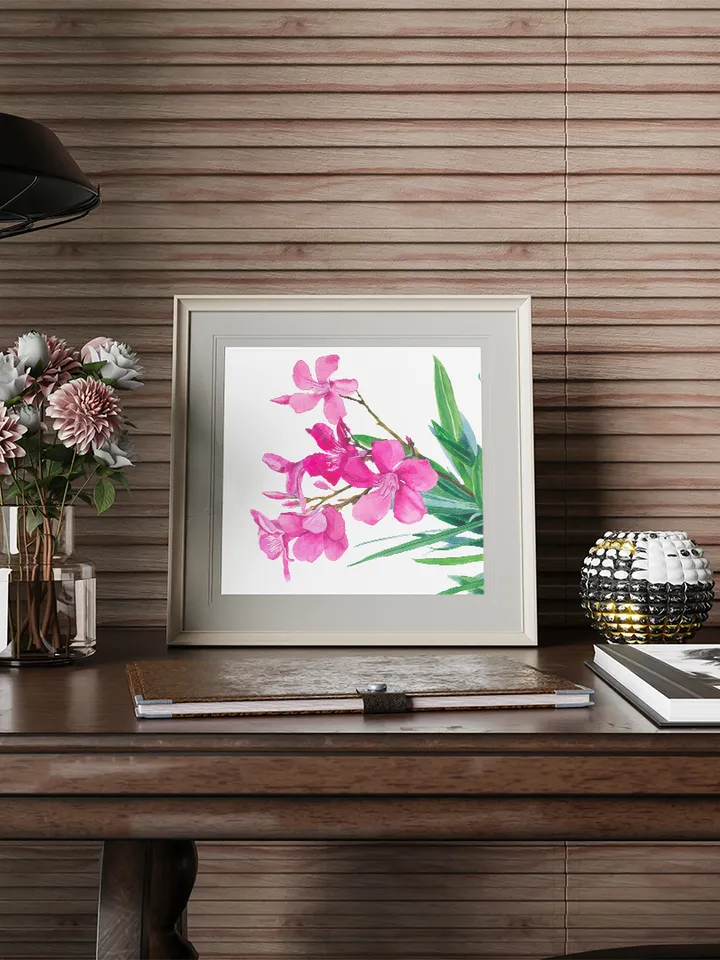 Oleander flowers on a white background Watercolor botanical Clipart Poster Design