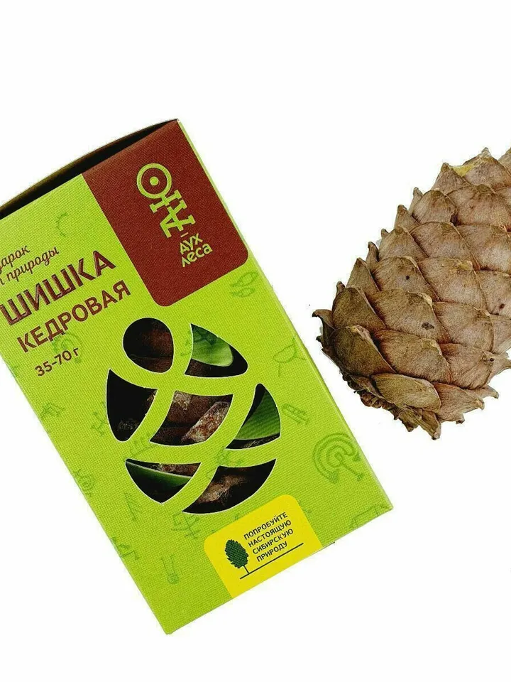 Selected cedar cone with nuts 3 pieces, free shipping