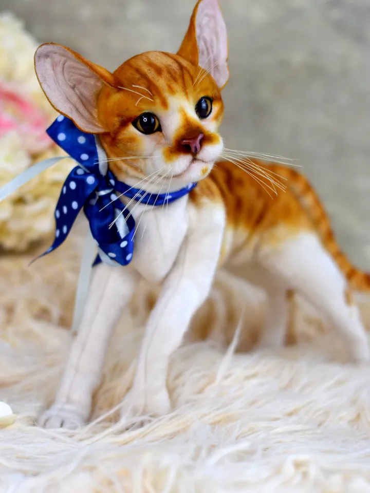 Realistic Stuffed Cat Toy - Portrait of a Domestic Plush Toy - Stuffed Cat - OOAK - Kitty Aurora