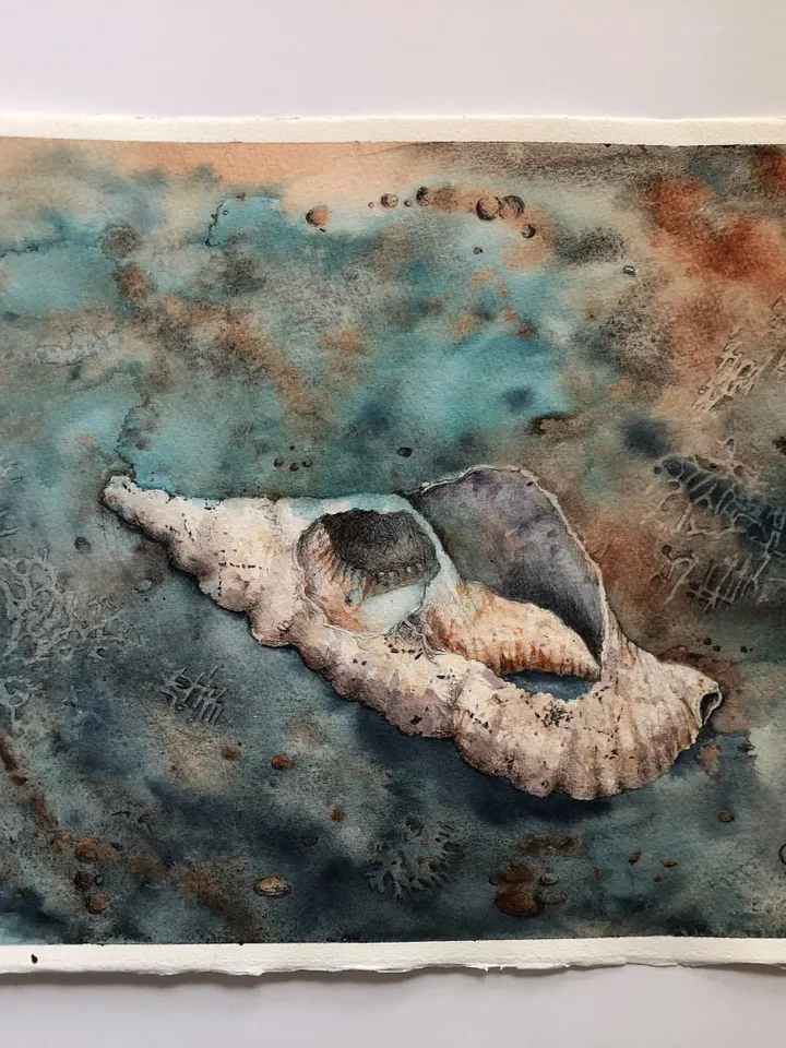 Original Watercolor Painting Seashells Wall Art Sea shell Painting