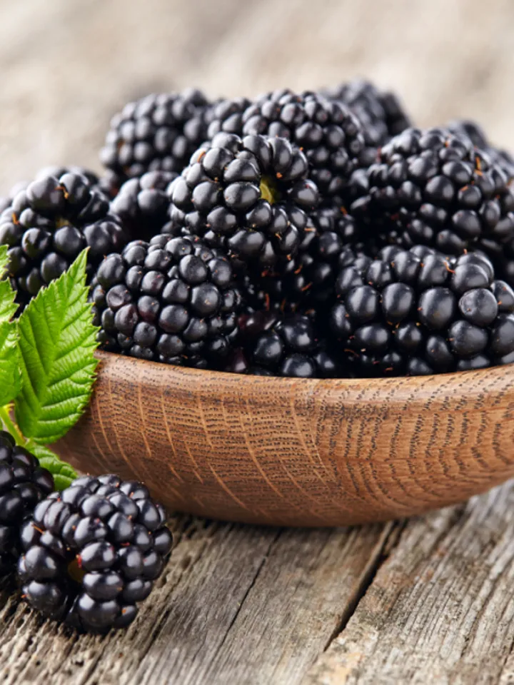 Dried Forest Bramble, 1000gr.(35.27oz)
