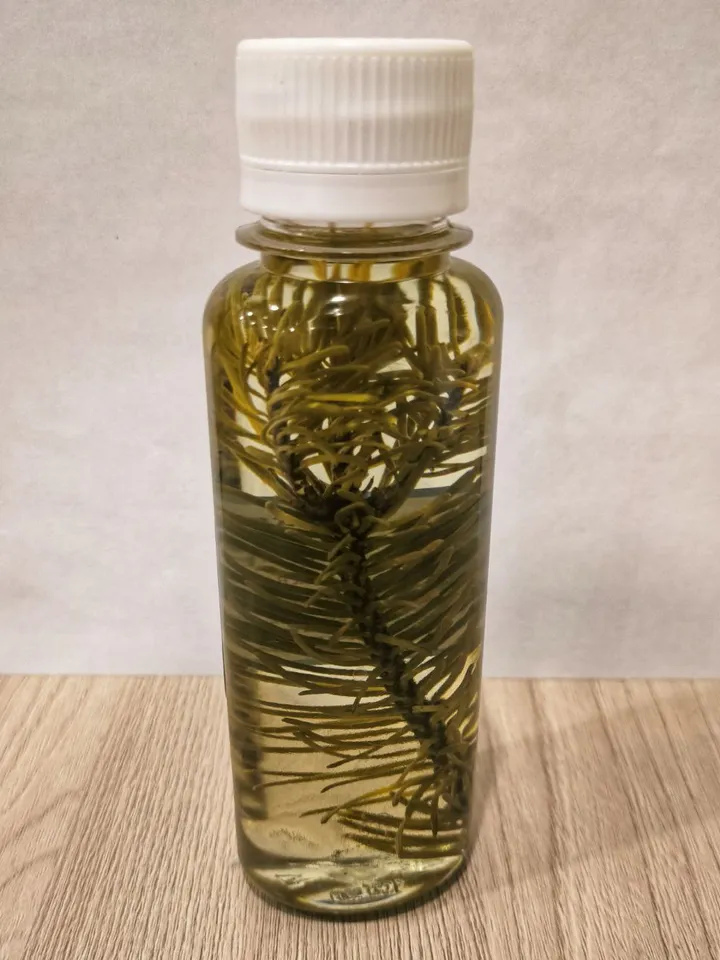 Siberian Fir Essential Oil With A Fir Twig Inside / Natural From Is A Useful Product Made In Siberian 100 Ml / 3.38 Oz