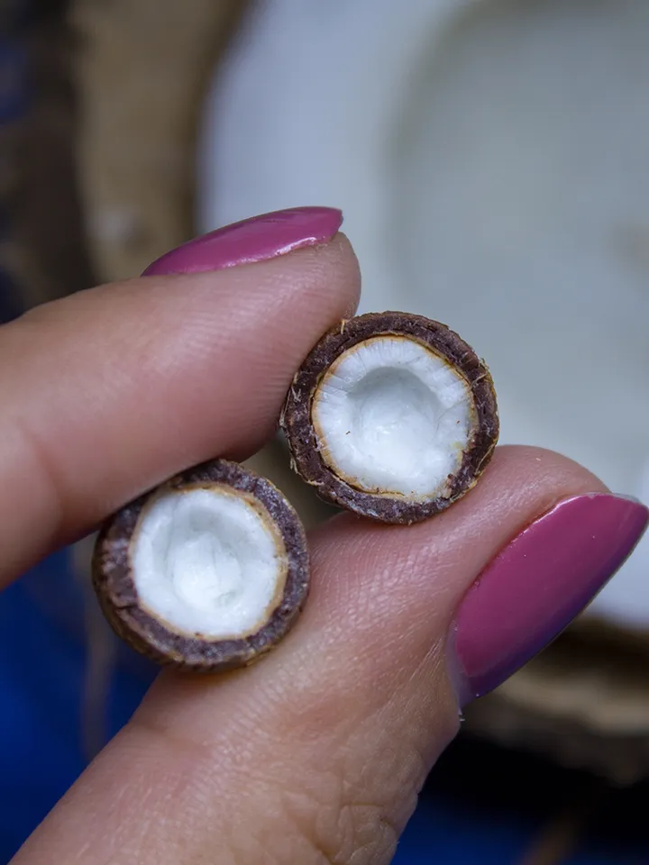 TUTORIAL Miniature coconut with polymer clay