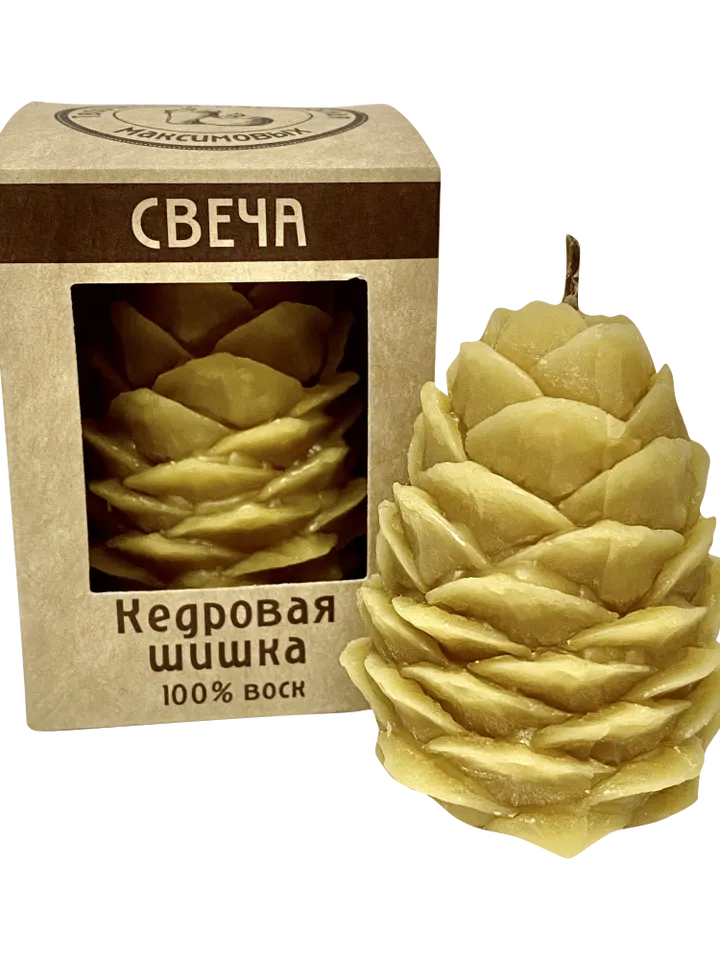 Organic wax candle - cedar cone made from natural beeswax