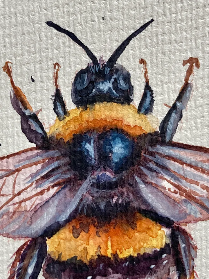 Bee Painting Original Watercolor Painting Gift Small Insect Art Bumblebee Illustration 4x6