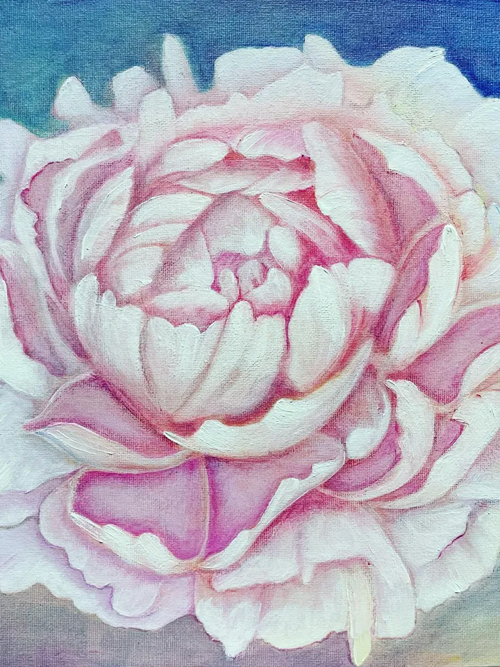 Картина цветы ПИОН
