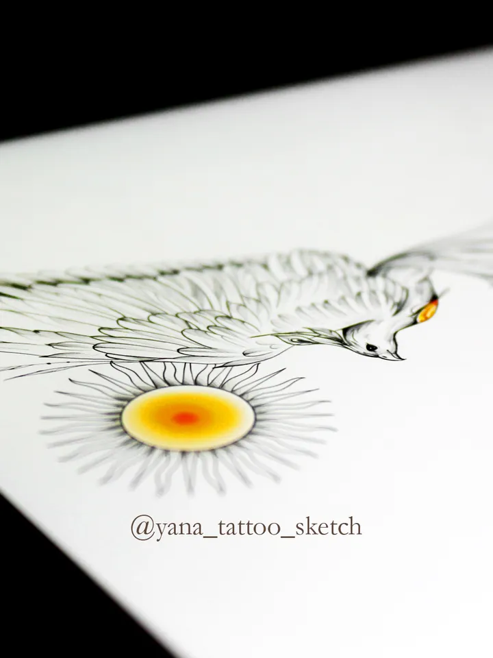 Phoenix Tattoo Design Phoenix Sun Tattoo Idea Drawing Sketch, Instant download JPG, PDF, PNG