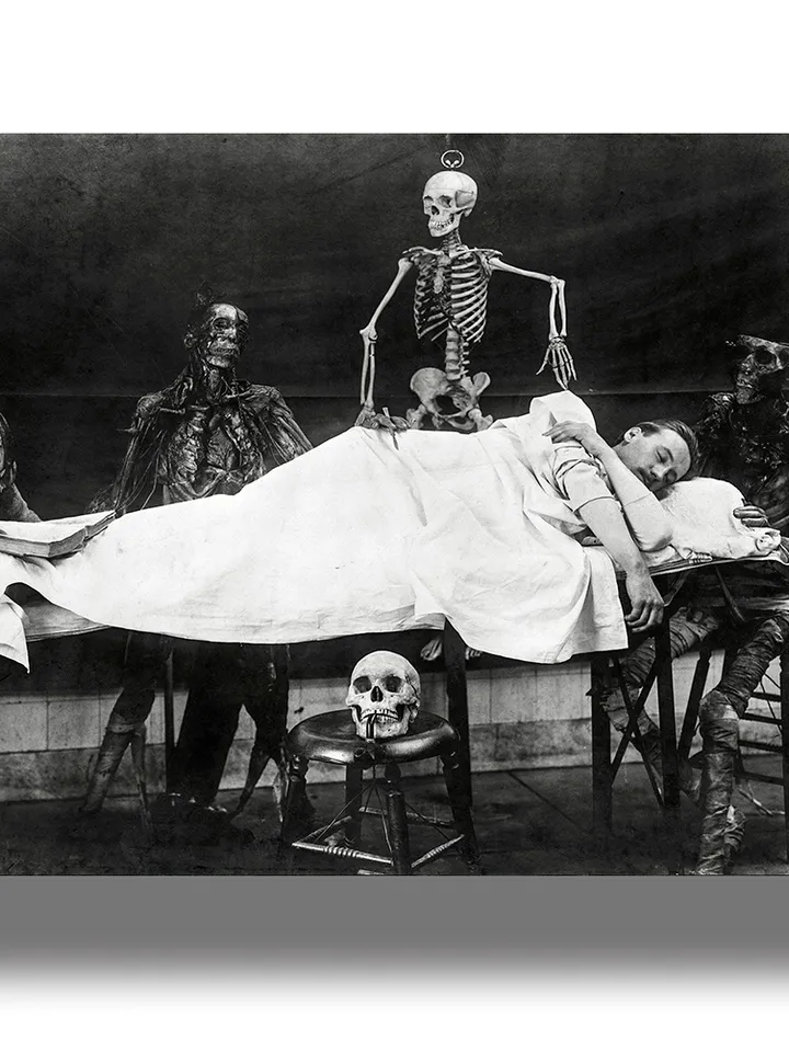 The dream of a medical university student.