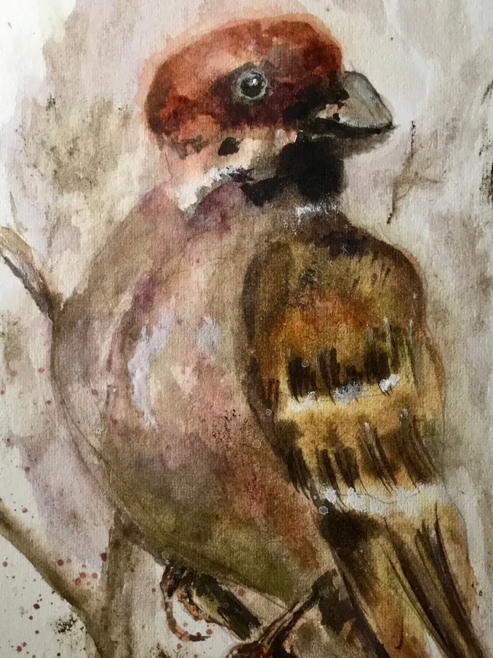 Bulfinch bird original watercolour painting,unique handmade gift,home decoration,birds painting,small paintings wall decoration.