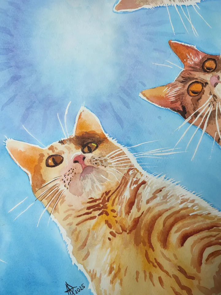 Painting watercolor/ "Admin, get up!