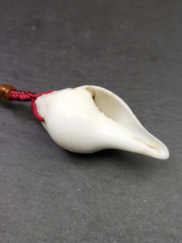 Gandhanra Tibetan Buddhism Amulet,Hand Carved White Conch Shell Shankha with Skull Citipati Symbol,Tibetan Ritual Implement - 2.36&quot; × 1.18&quot;