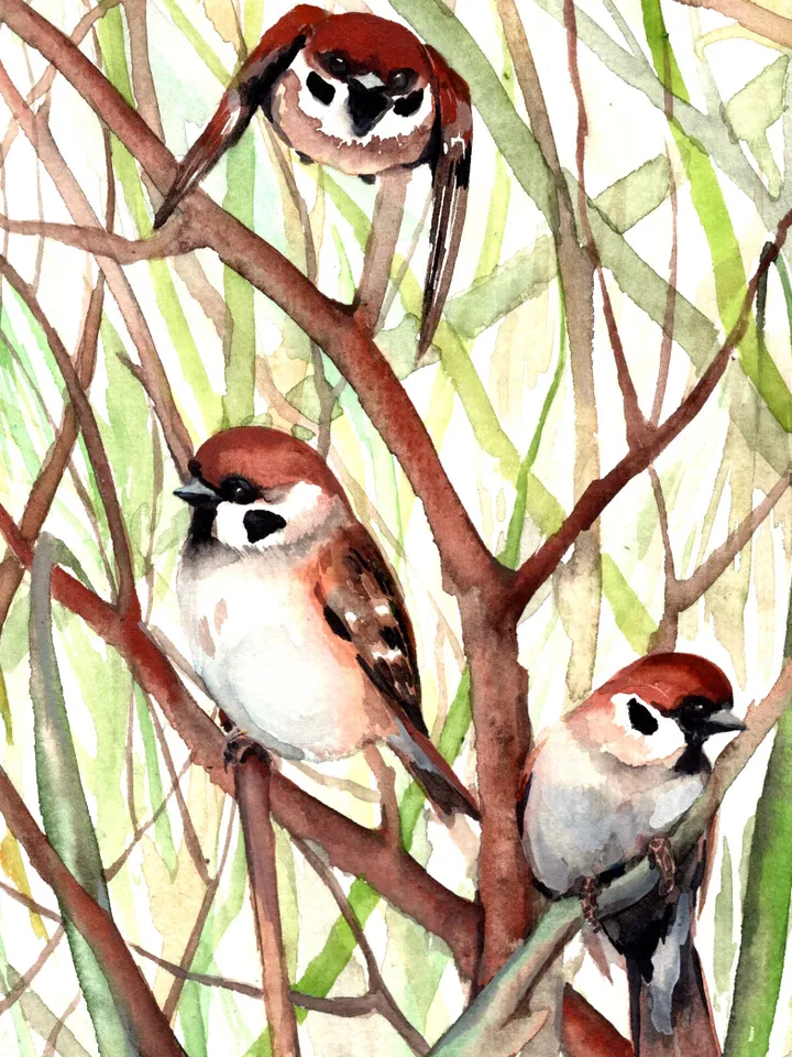 Sparrows Bird Watercolour, bird painting, room decor, wall decor, birds lover gift, 8x11 in handmade art by Anne Gorywine