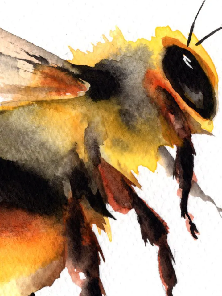 Bumblebees original watercolor, bee painting, handmade wall decor, 4x6 in small art for bees lovers by Anne Gorywine