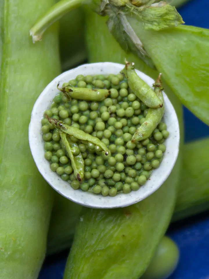 TUTORIAL Miniature peas with polymer clay