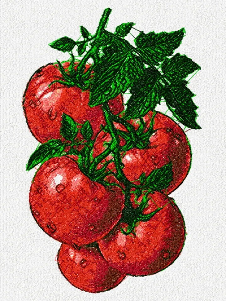 Tomato photo stitch Machine Embroidery Design