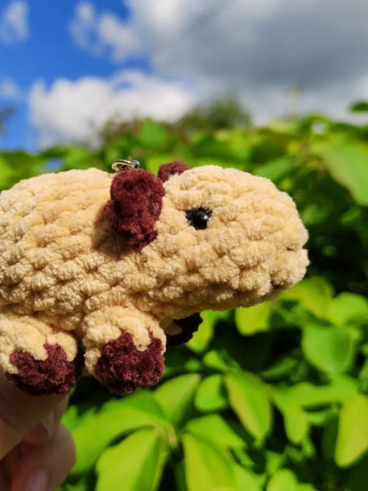 2 in 1 No Sew Capybara Crochet Pattern, Capybara Amigurumi Pattern, Easy Crochet Pattern Capybara, Quick Amigurumi Project, Cute DIY Gift