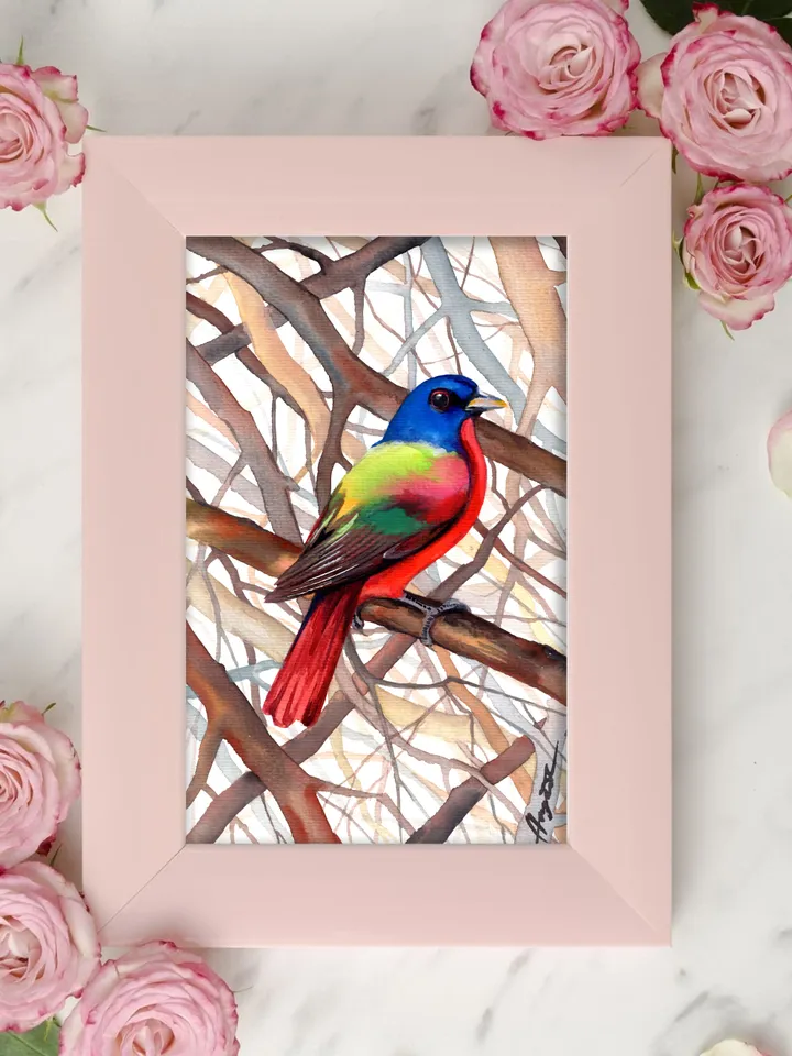 Colorful bird original watercolor illustration, birds painting, wall decor, 7x10 in art for bird lovers by Anne Gorywine