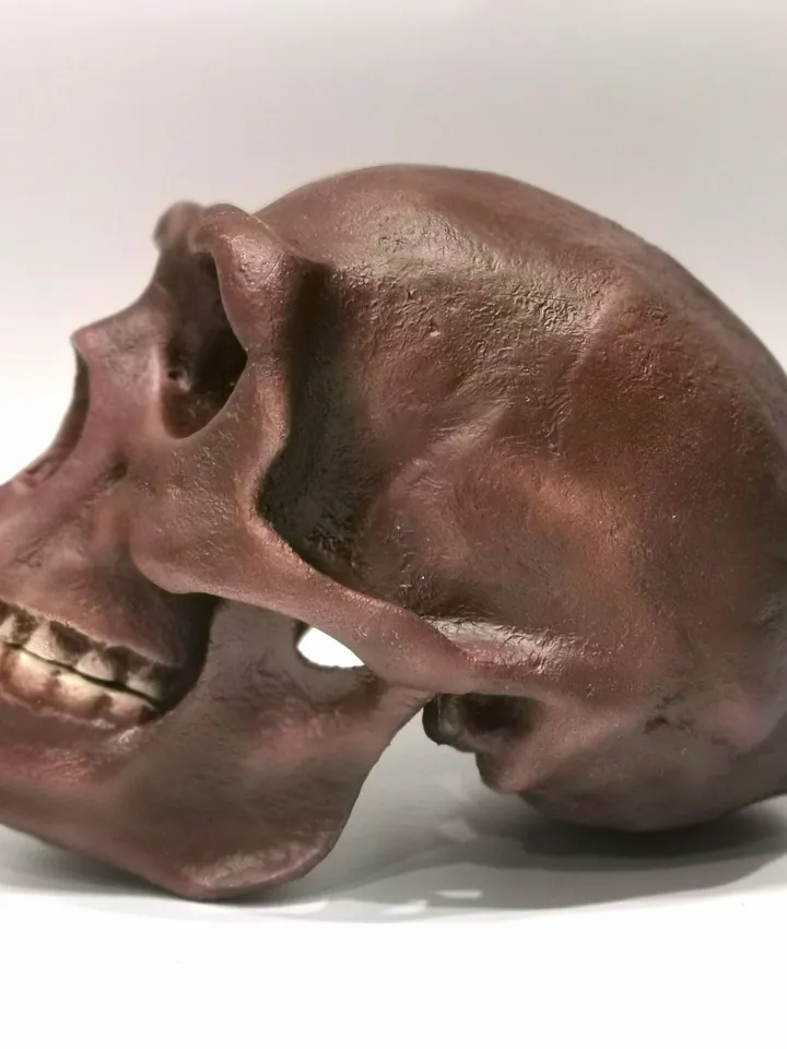 Homo Erectus Pekinensis Skull Replica, Prehistoric Fossil Collection, Realistic Hominid Skull, Museum Quality