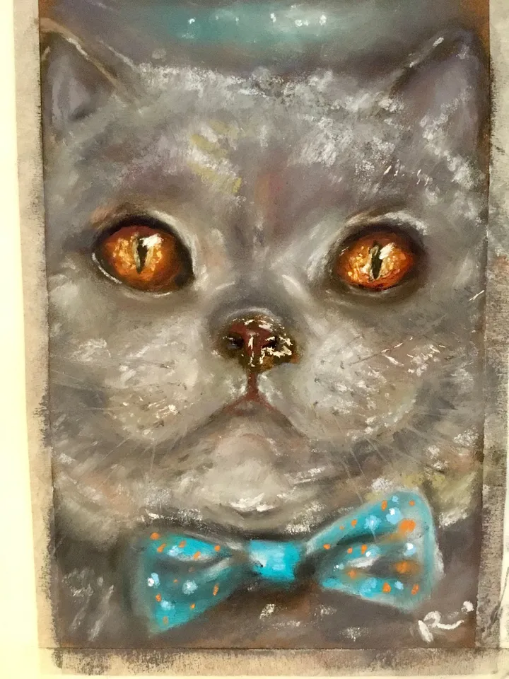 British cat with a bow tie original spft pastel painting on pastel cardboard,funny animals painting,cats painting,cat lovers gift,wall art.