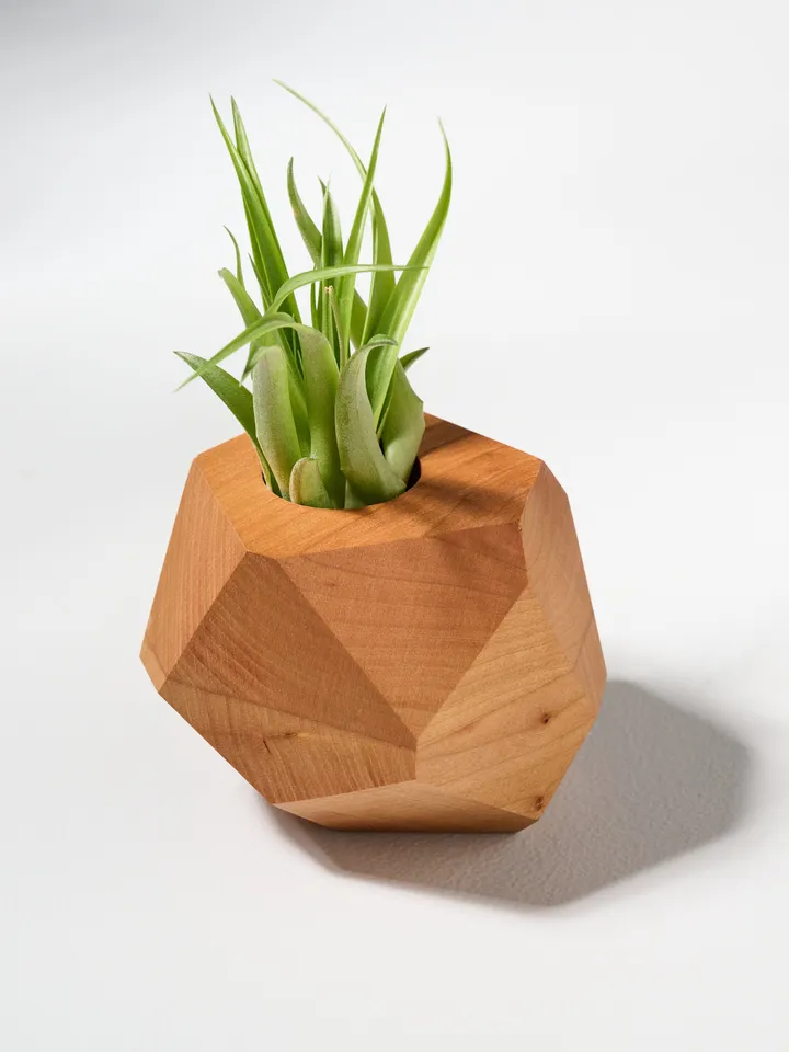 Cherry Geometric Air Plant Holder