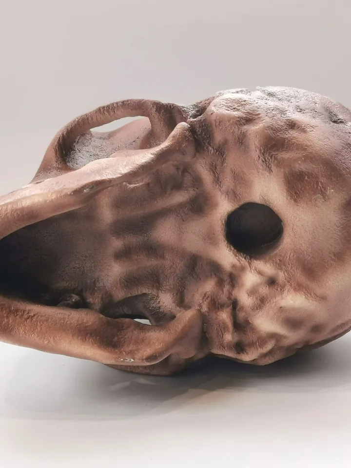 Homo Neanderthal Skull Replica, Prehistoric Fossil Collection, Realistic Hominid Skull