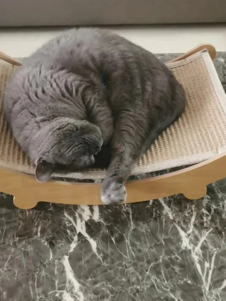 Wooden scratching posts for cats