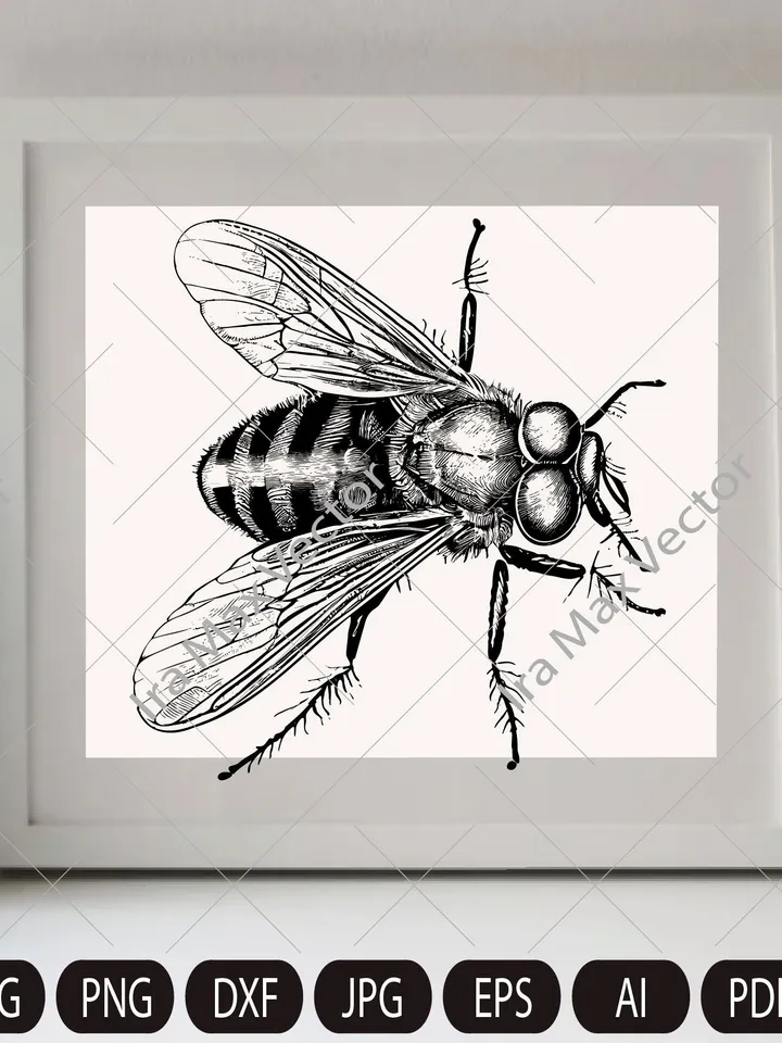 Fly Svg, house fly Svg, Insect Svg, Fly Clipart, Fly cut file, fly detailed, Fly realistic, Fly Png, Fly Dxf,fly insect