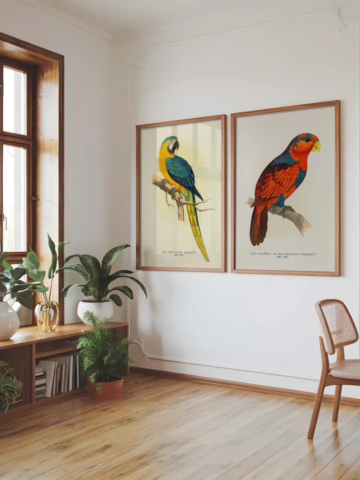 80+ Vintage Parrot Illustration Bundle Colorful Bird Wall Art Retro Parrot Prints Eclectic Antique Style Digital Download for Bird Lovers
