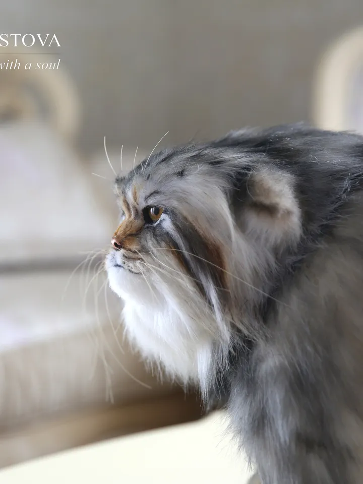 Pallas cat realistic plush animals. Ooak toy. Realistic manul stuffed toy