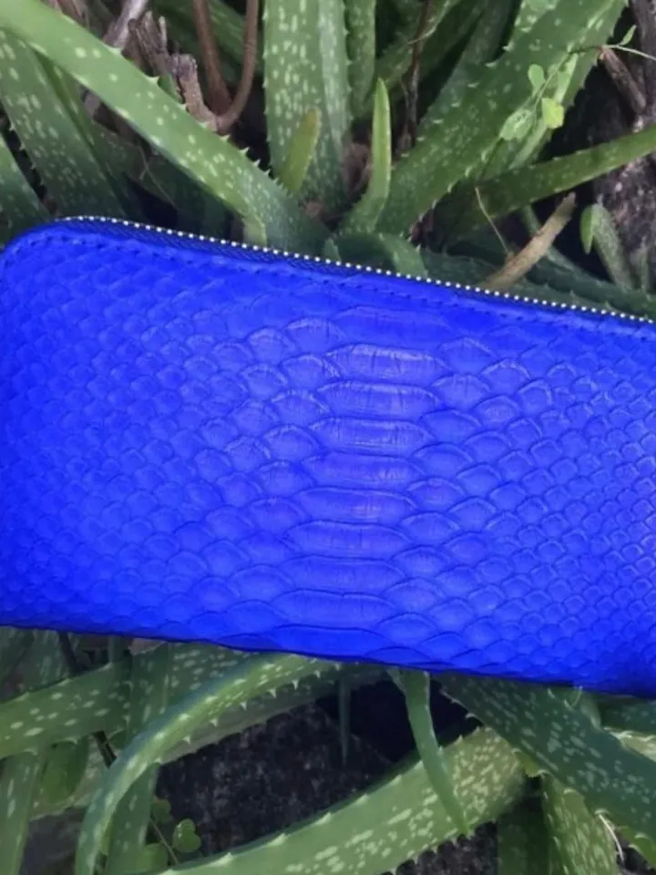 Wallet genuine python skin electic blue color, women wallet, leather lady wallet, classic zip wallet, designer wallet handmade, money wallet