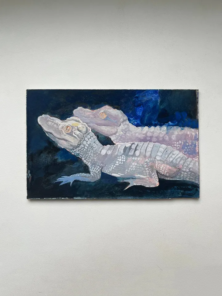 alligator