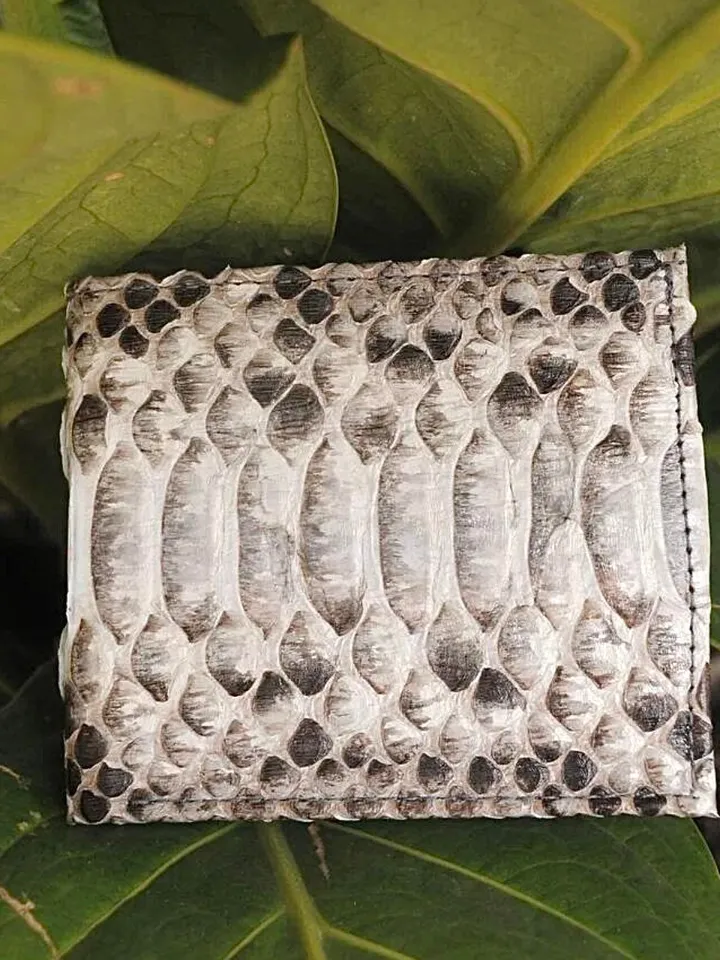 Genuine Python Skin Men Flat Wallet | Exotic Leather Money  Wallet | Gift For Him | Money Clips and Wallet | Grey Portmone Handmade