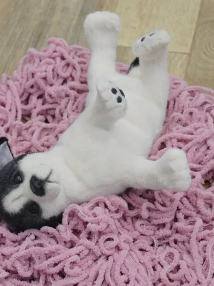 Stuffed toy puppy.