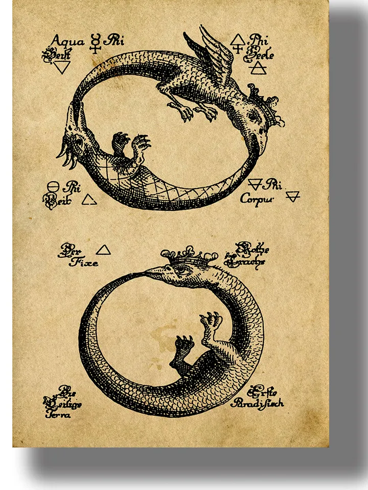 Two Ouroboros from an ancient alchemical treatise.