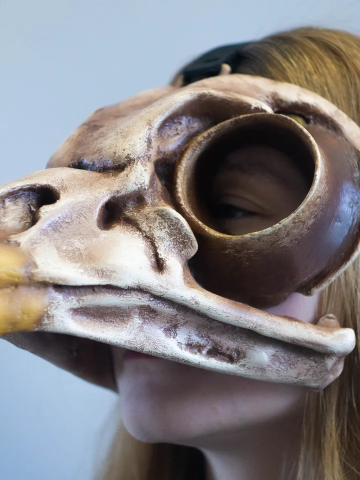 Bird Skull Mask, Owl Skull, Viking skull Mask, bird mask, plague doctor mask, steampunk bird mask, bird beak mask, Voodoo Mask, Raven Mask