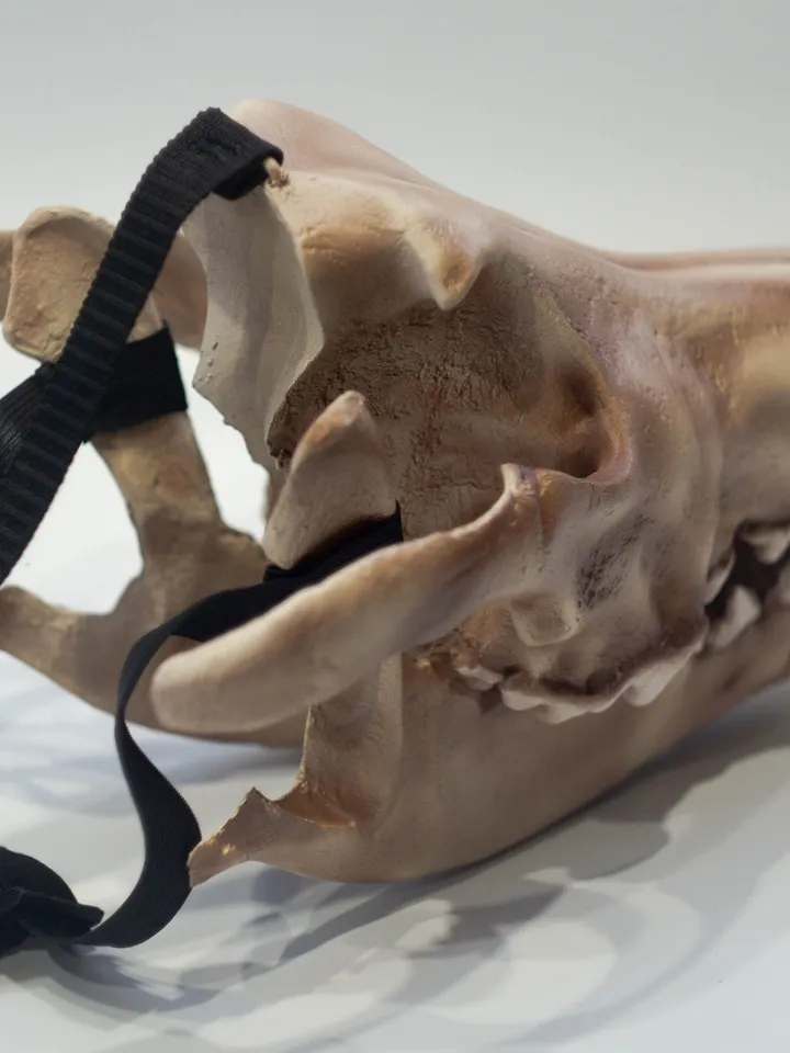 Wolf Skull Mask | animal skull mask |  | realistic wolf mask | resin skull mask | cosplay face mask | halloween scary mask | creepy mask