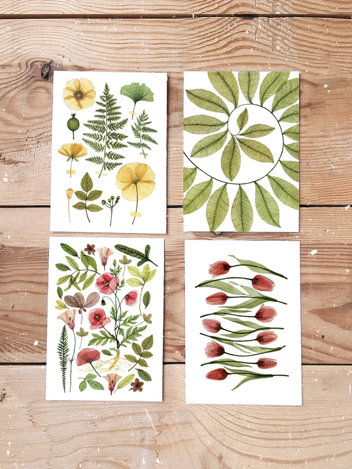 Set of 4 botanical postcards TRANSPARENT PLANTS