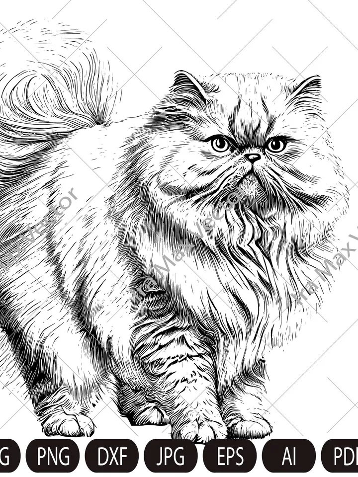 Cat Svg , Cat persian svg, Persian fluffy cat, cute kitten face svg, cute cat face svg, cat faces svg, face svg, cat svg bundle, cat image