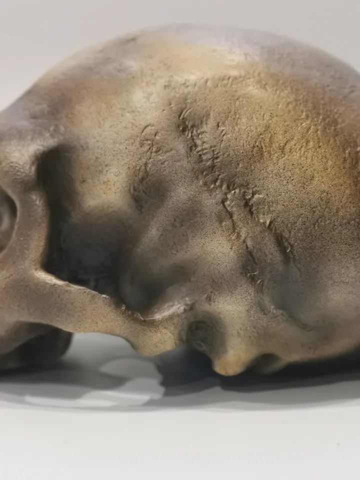 Homo Neanderthal from Monte Circeo 1 Skull Replica, Prehistoric Fossil Collection, Realistic Hominid Skull, Museum Quality