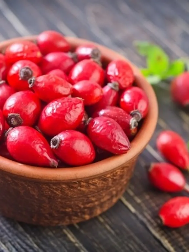 Dried Forest Rosehip, 1000gr.(35.27oz)