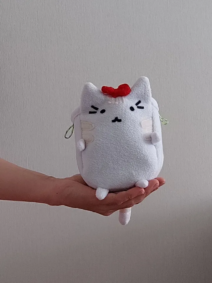 Chalk bag Сat for rock climbing